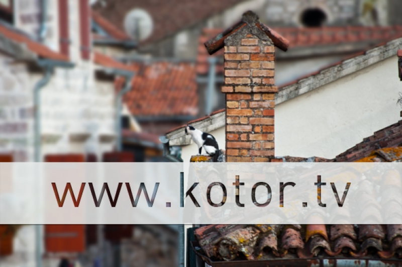 Sa radom počeo i portal Kotor TV-a